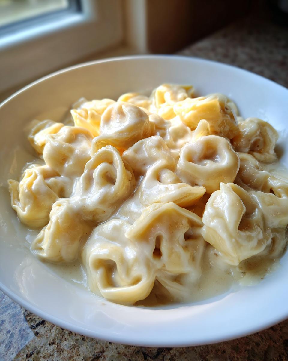 Close-up of cheese tortellini generously coated in rich, creamy sauce for the Tortellini Alfredo Recipe.